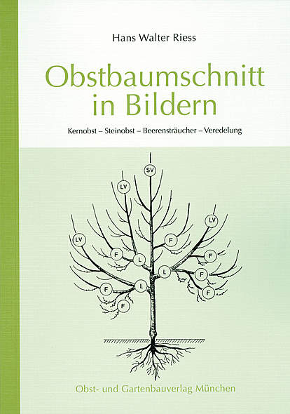 Obstbaumschnitt in Bildern