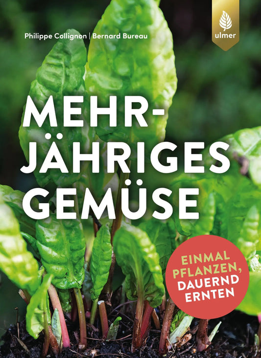 Mehrjähriges Gemüse: Einmal pflanzen, dauernd ernten